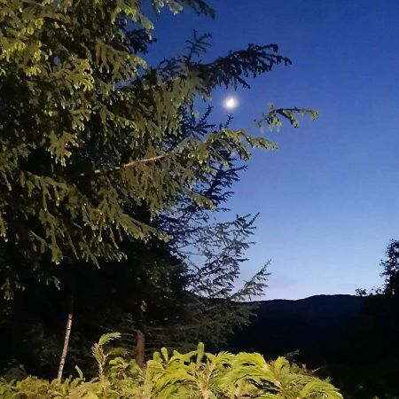 Kalmul Naturii, Iuresul Padurii Firiza-de-Jos Exteriör bild
