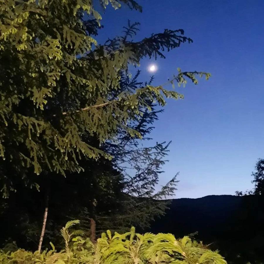 Kalmul Naturii, Iuresul Padurii Firiza-de-Jos Exteriör bild